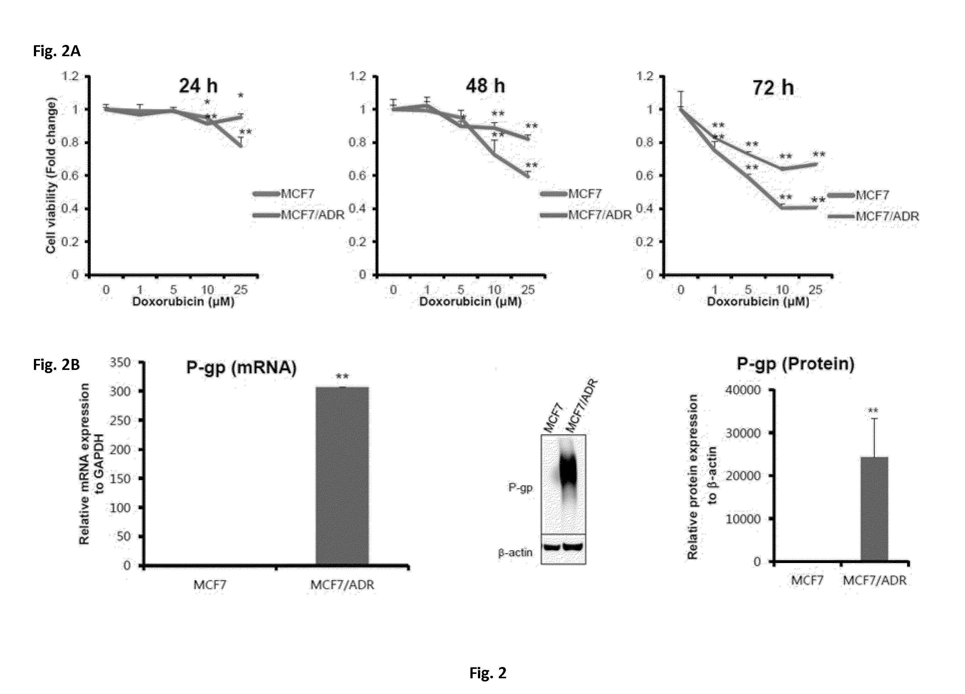 Method For Treating Breast Cancer By Targeting Breast Cancer Stem Cell