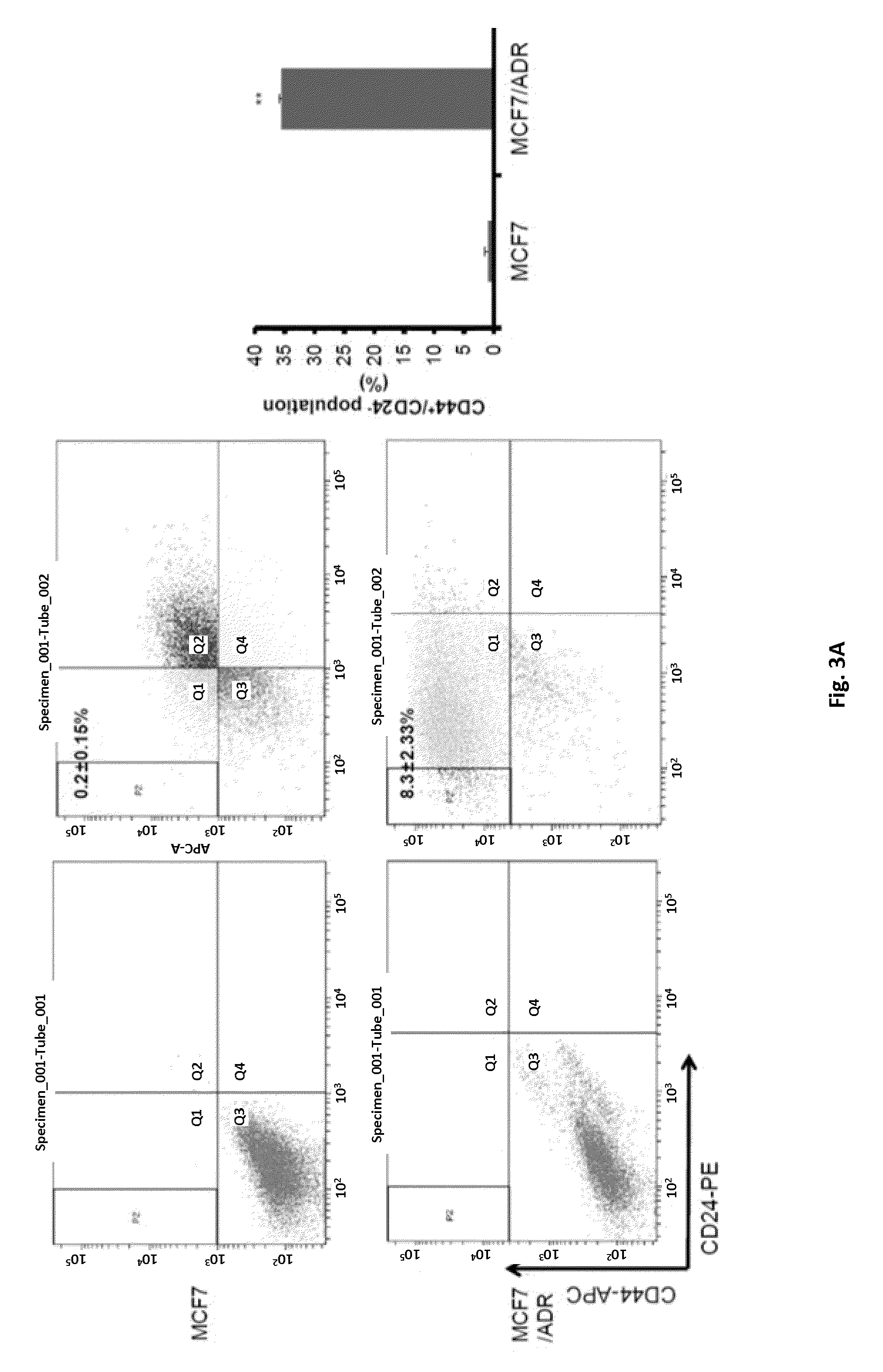 Method For Treating Breast Cancer By Targeting Breast Cancer Stem Cell