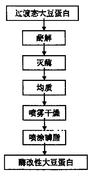 Enzyme modification method for preparing low gel property high dispersancy soy protein