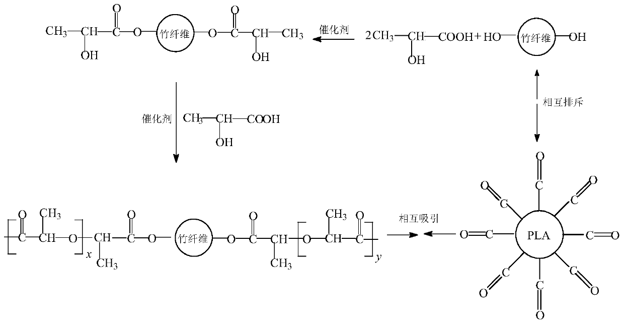 Bamboo fiber/polylactic acid composite material and preparation method thereof