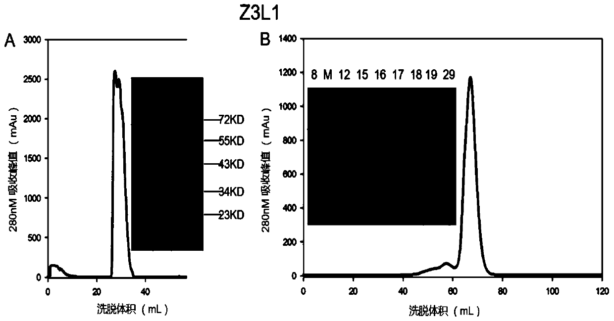 Human monocolonal antibody with high neutralization activity for Zika virus and application thereof
