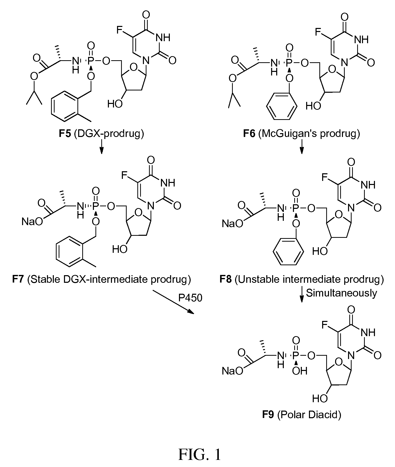 Double-liver-targeting phosphoramidate and phosphonoamidate prodrugs