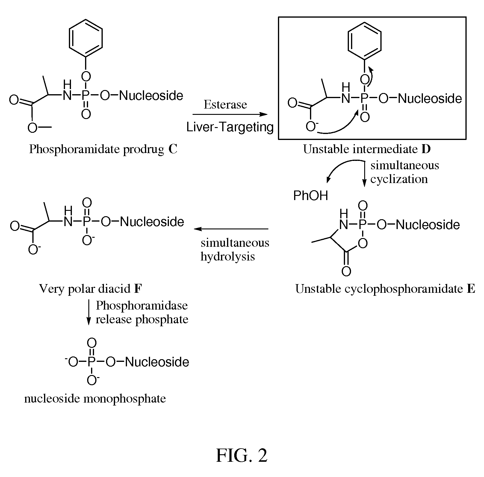 Double-liver-targeting phosphoramidate and phosphonoamidate prodrugs