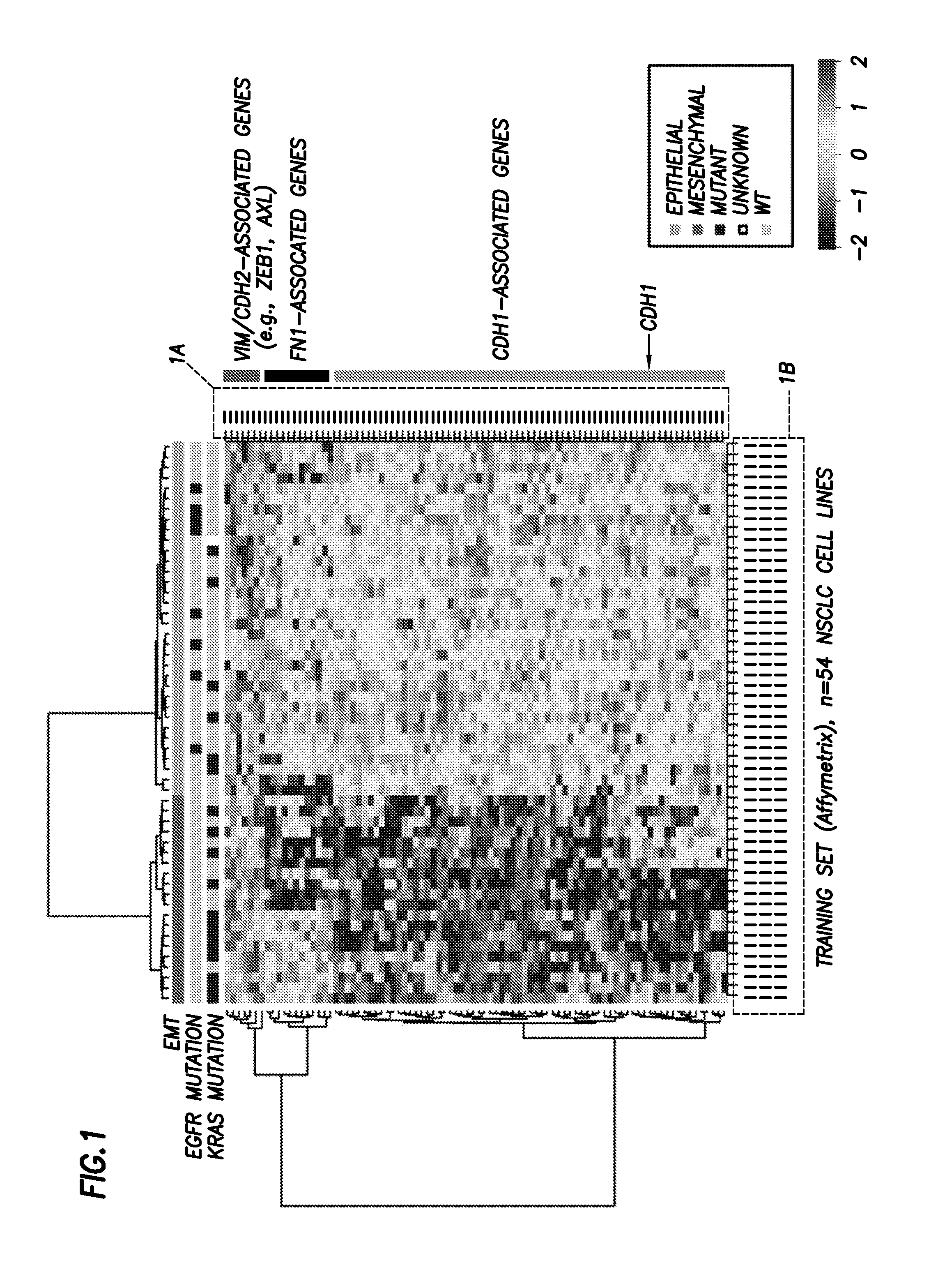 Emt signatures and predictive markers and method of using the same