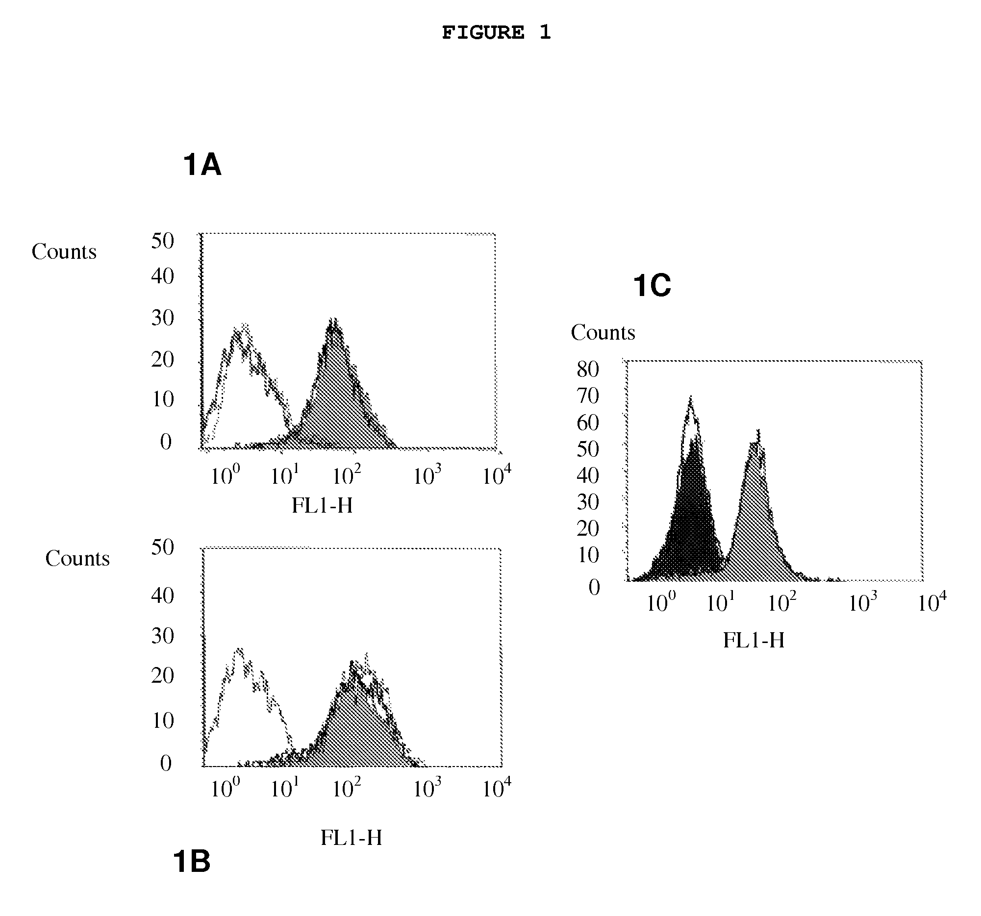 Method for preparation of single chain antibodies