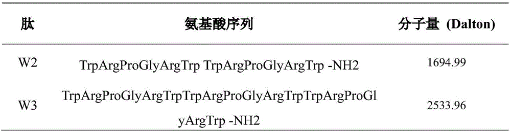 Multi-stranded beta-hairpin short-peptide with tolerant protease and preparation method and application
