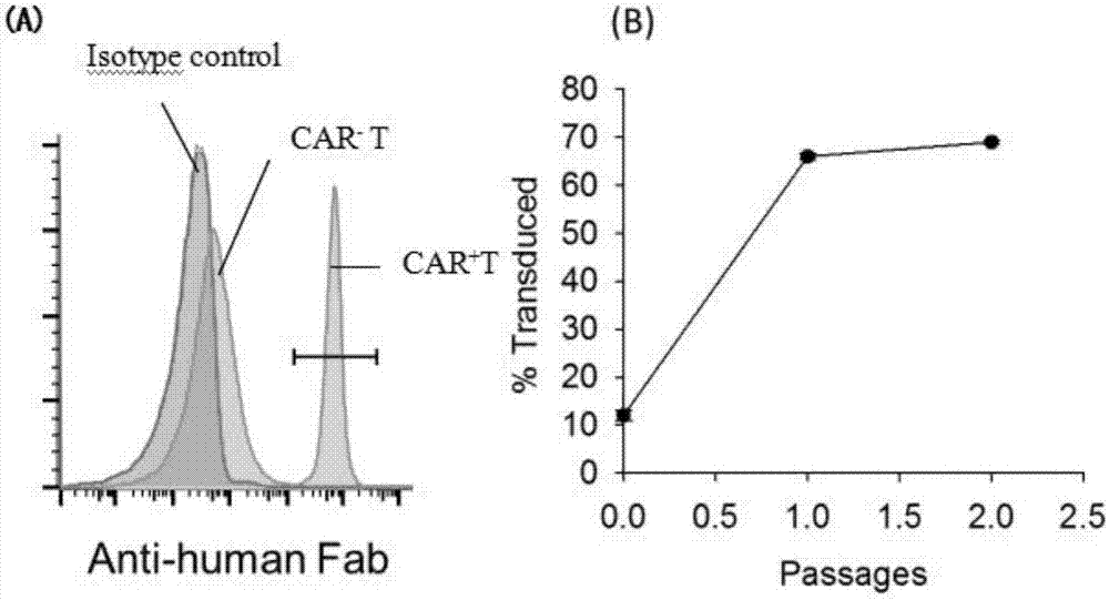 Recombinant gene construction of chimeric antigen receptor (CAR) for treating HIV (human immunodeficiency virus) infection and application of chimeric antigen receptor