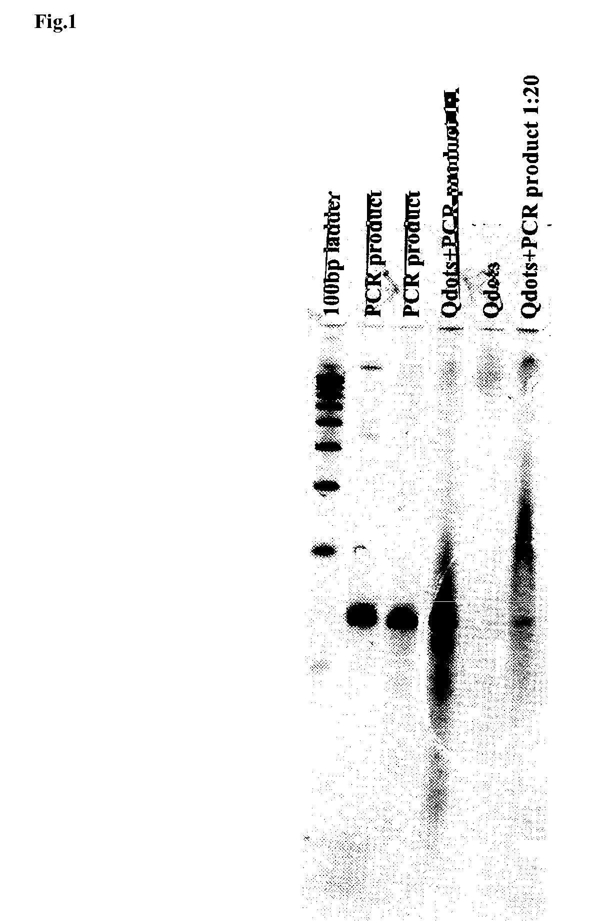 Method for simultaneous analysis of multiple biological reactions or changes in in vivo conditions