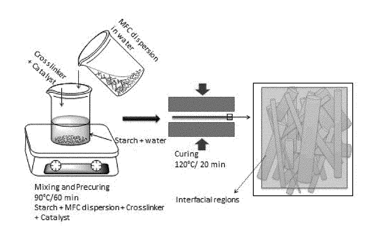 Crosslinked native and waxy starch resin compositions and processes for their manufacture