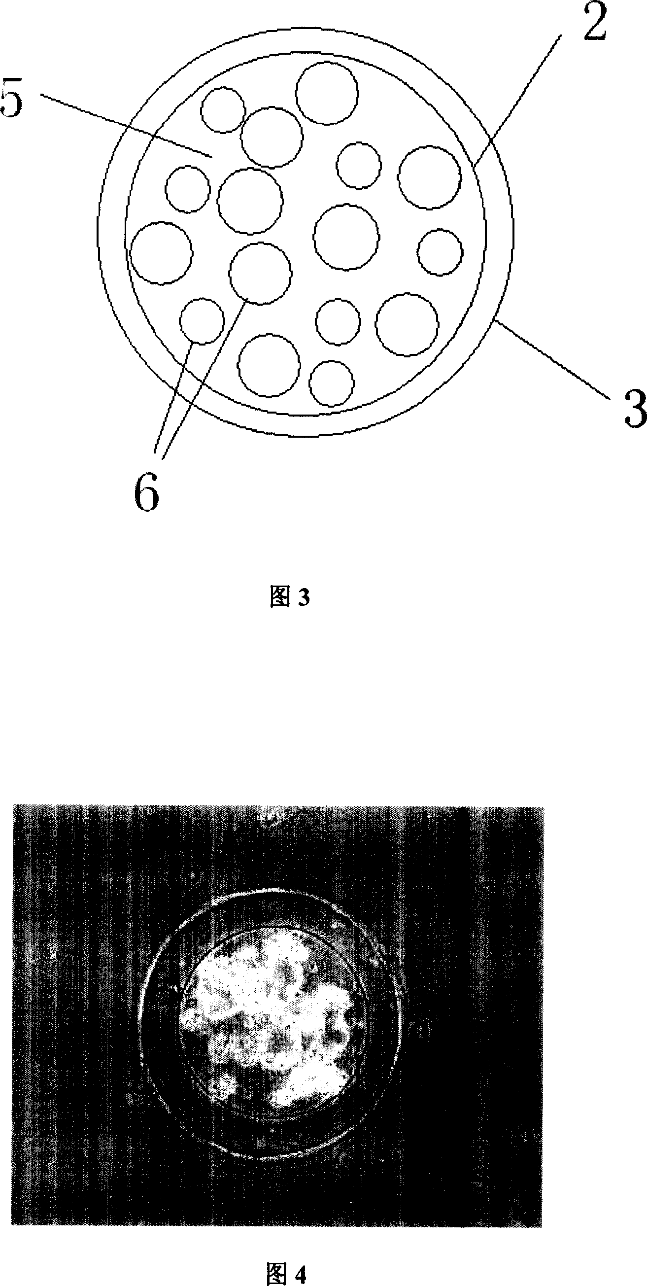 Method for producing liquid core microcapsule by electrostatic spraying