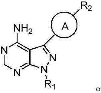 Pyrazolopyrimidines used as kinase inhibitors and application thereof