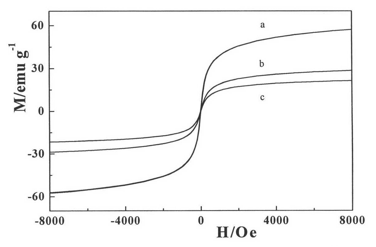 Superparamagnetic electric conductive gamma-iron oxide/polyaniline-lonidamine (gamma-Fe2O3/PAn-Lon) and preparation method thereof