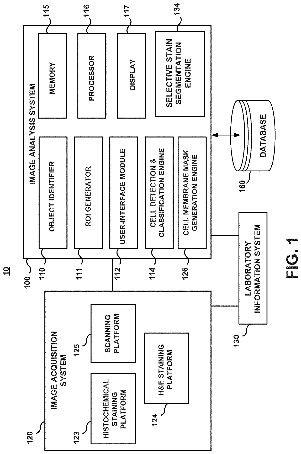 System and method for generating selective stain segmentation images for cell types of interest