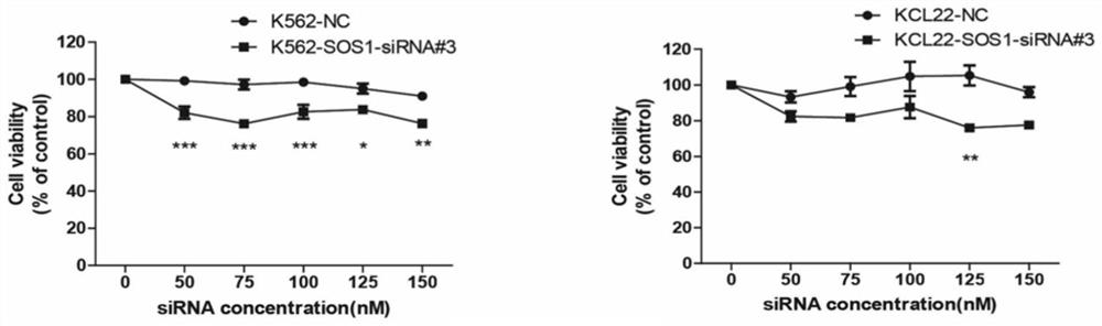 A siRNA targeting and inhibiting the expression of sos1 gene and its application