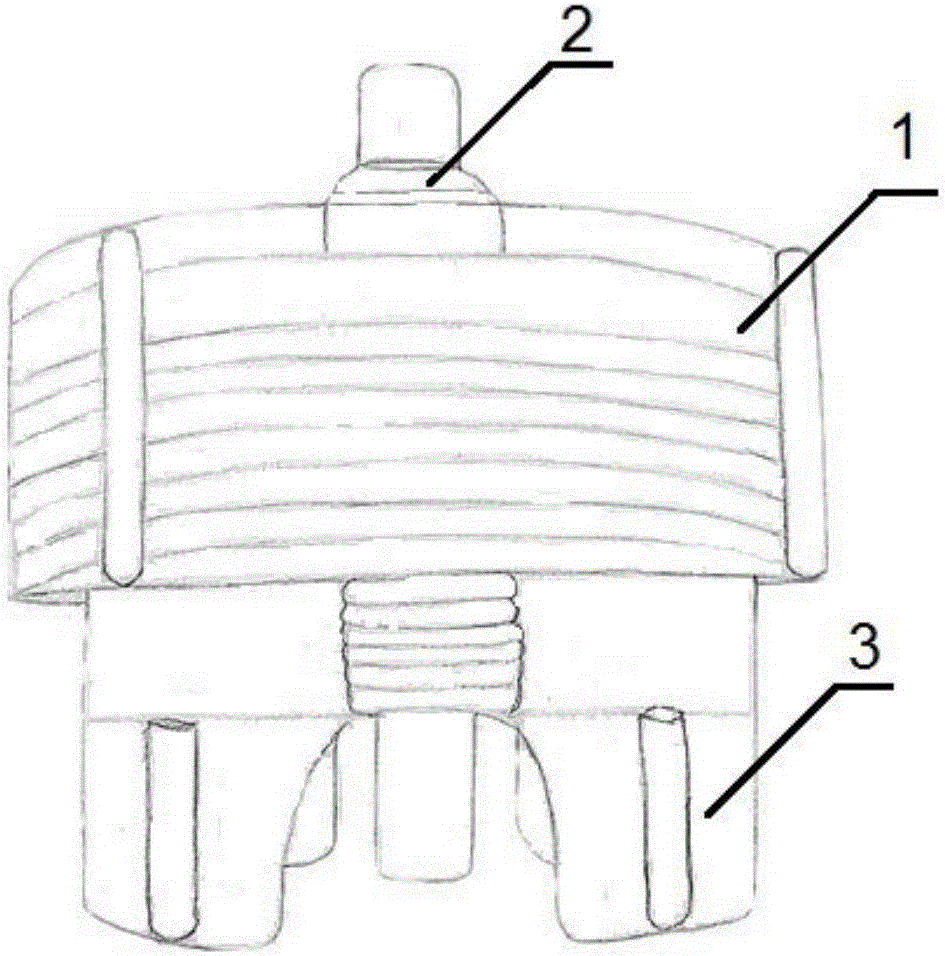 Portable manual suction filter for collecting particulate organic matters in water bodies