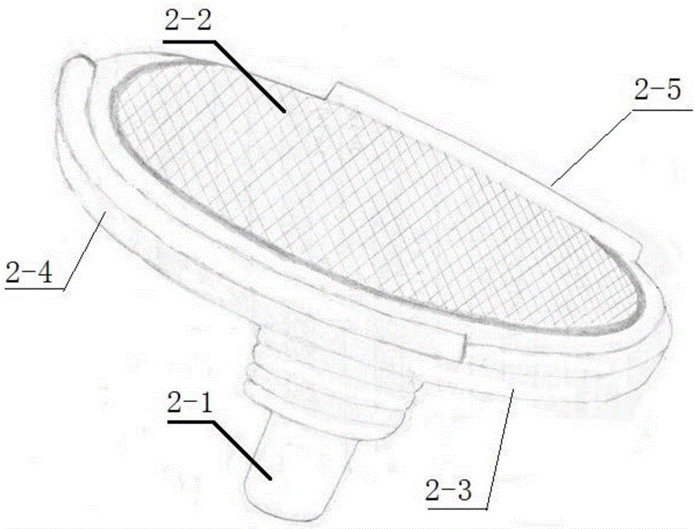 Portable manual suction filter for collecting particulate organic matters in water bodies