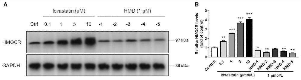 Compound or medicinal salt thereof for targeted ubiquitination degradation of HMGCR, preparation method and application