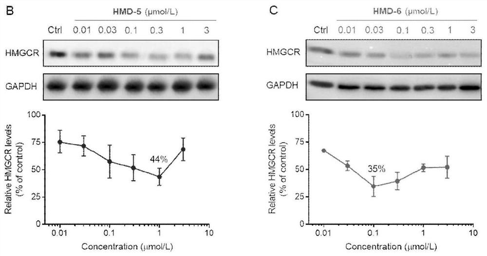 Compound or medicinal salt thereof for targeted ubiquitination degradation of HMGCR, preparation method and application