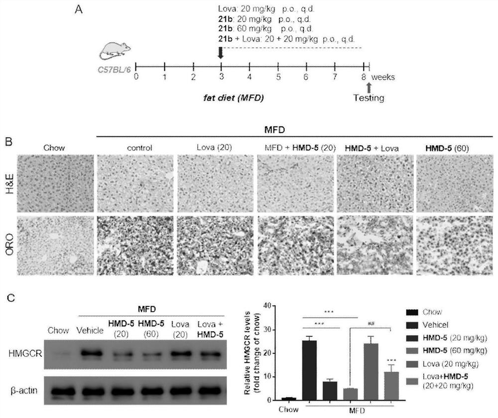 Compound or medicinal salt thereof for targeted ubiquitination degradation of HMGCR, preparation method and application