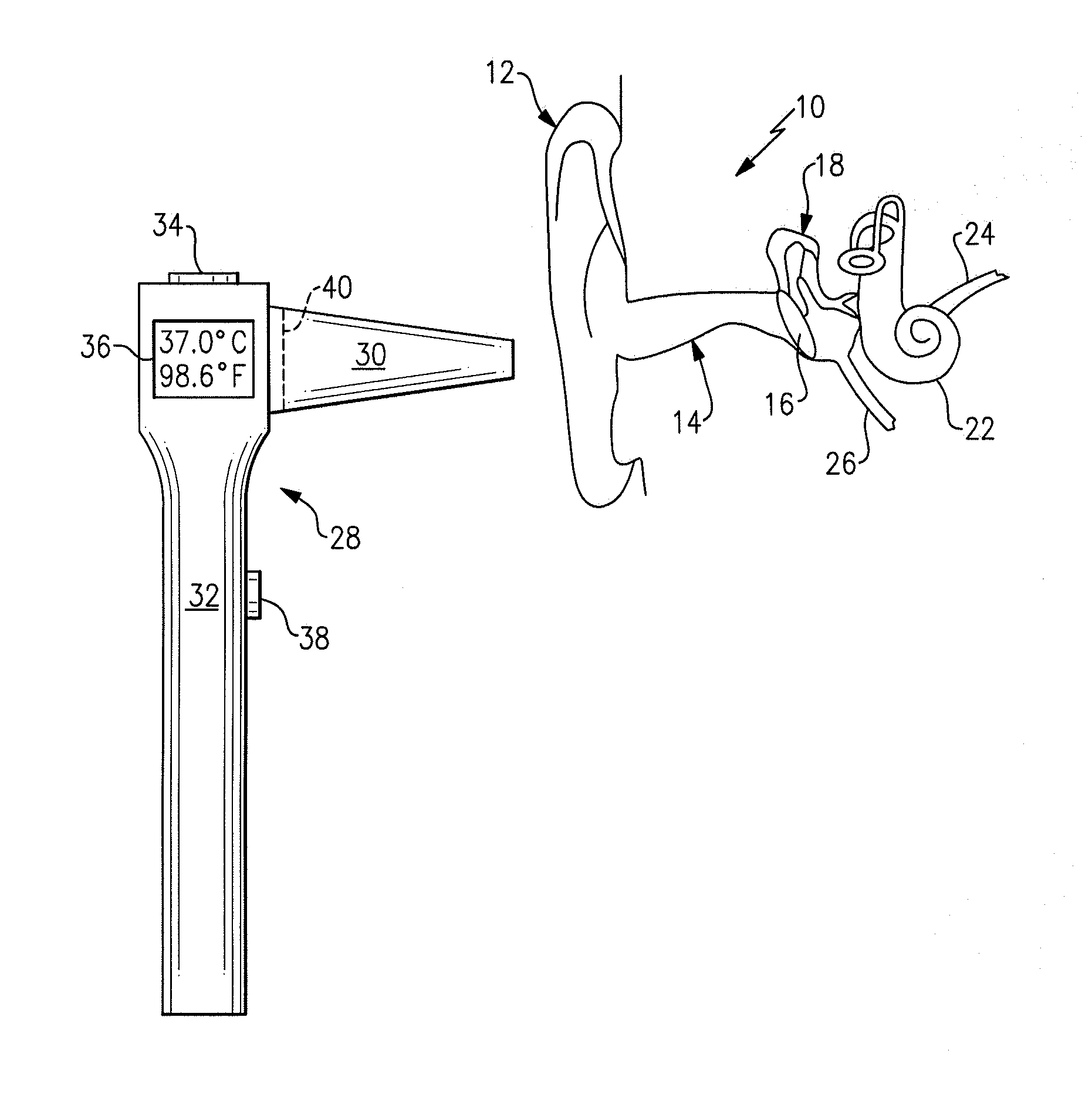 Thermometer for determining the temperature of an animal's ear drum and method of using same