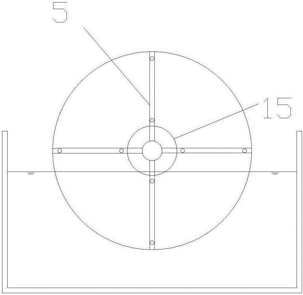 Biological disk and biological rotating disk formed by same