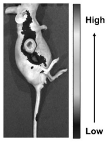 Aggregation-induced luminescence photosensitizer, preparation method and application