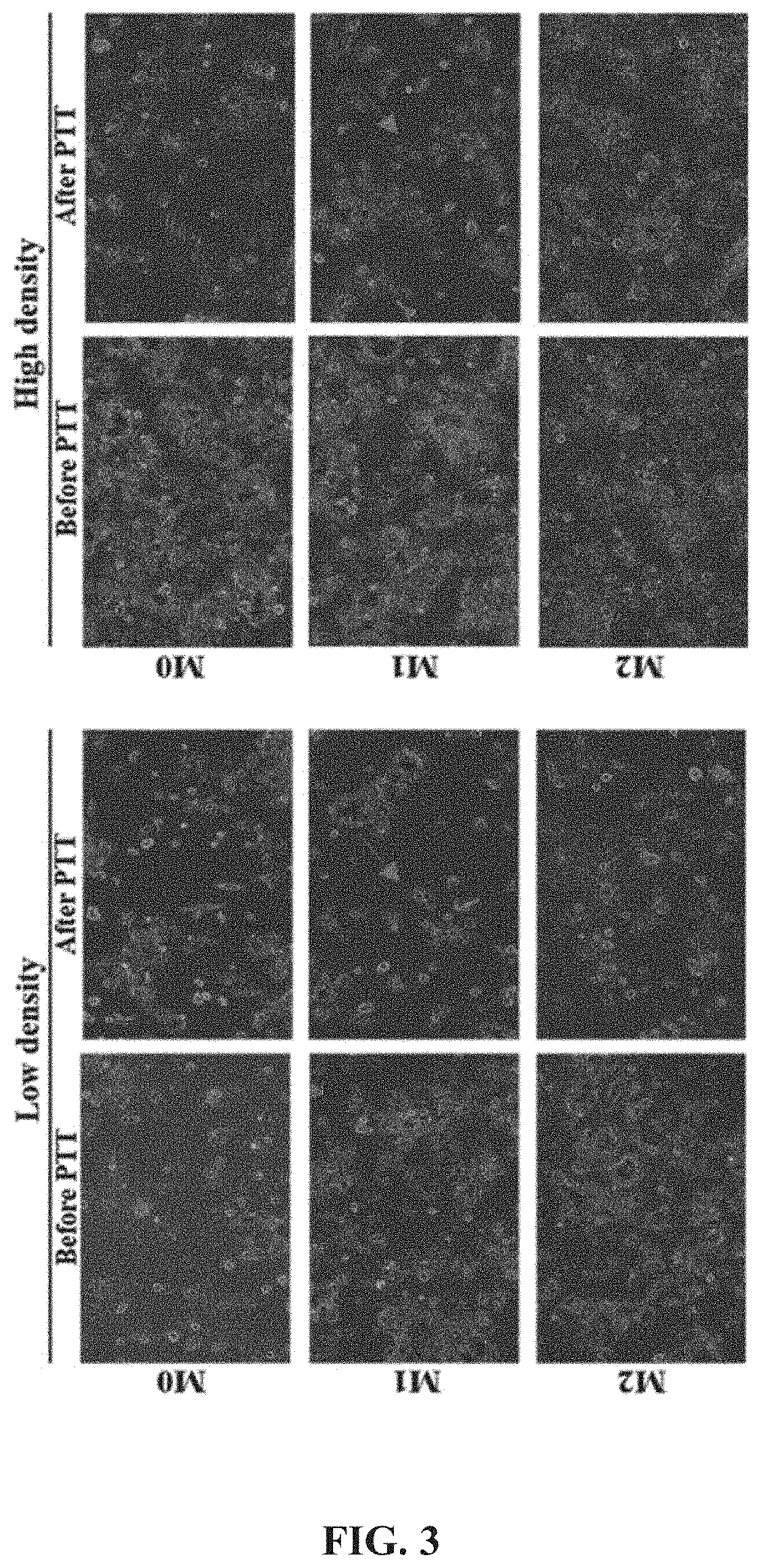Cancer cell-targeted drug delivery carrier and composition for promoting photo-thermal treatment effects, both of which contain m1 macrophages as active ingredient