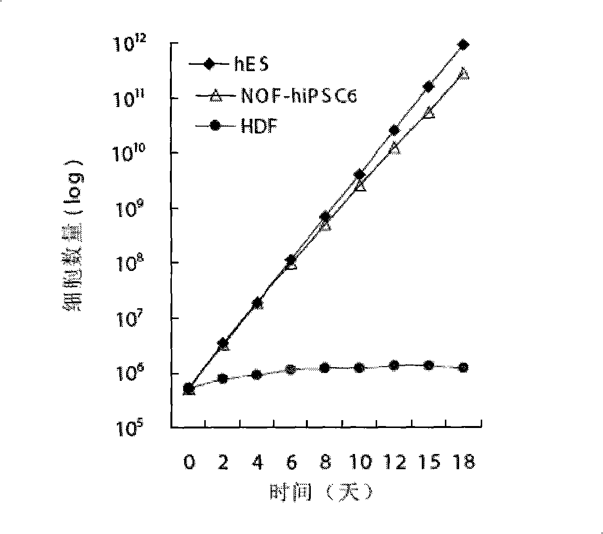 Method for in vitro abduction and cultivation of multi-potentiality stem cell