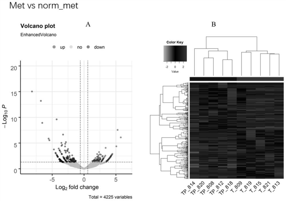 Application of a circRNA marker for the diagnosis of colorectal cancer