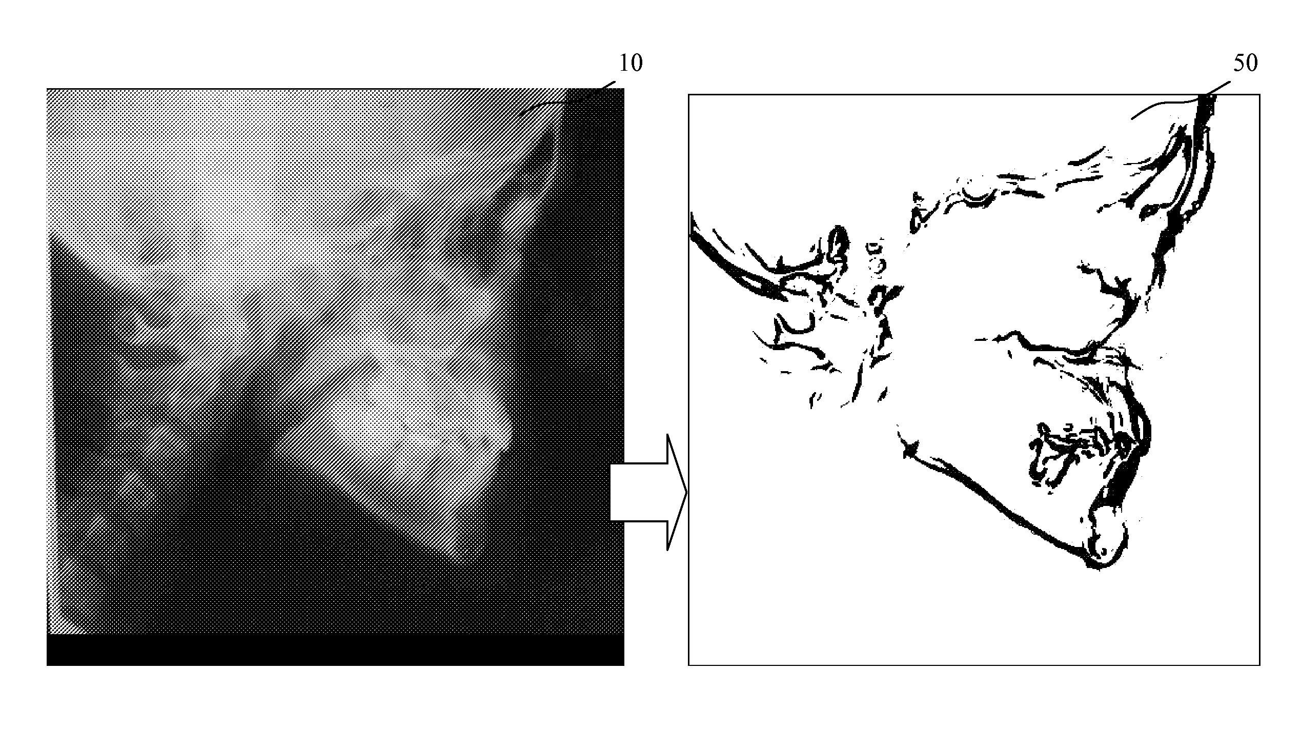Cephalogram Image Analysis Method