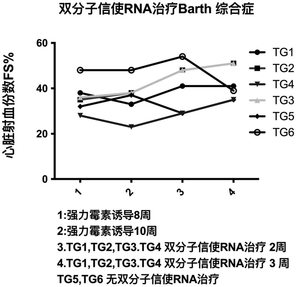 Limited self-replication mRNA molecular system, preparation method and application