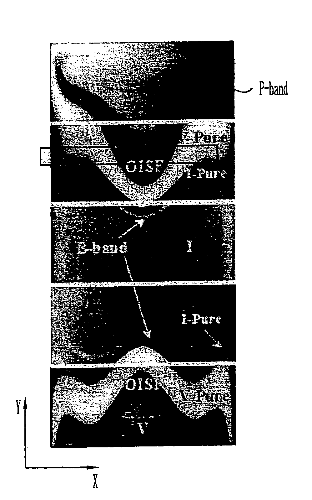 Silicon wafers and method of fabricating the same