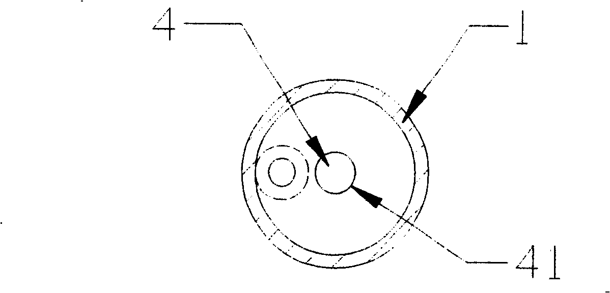 Self-destruction disposable injector