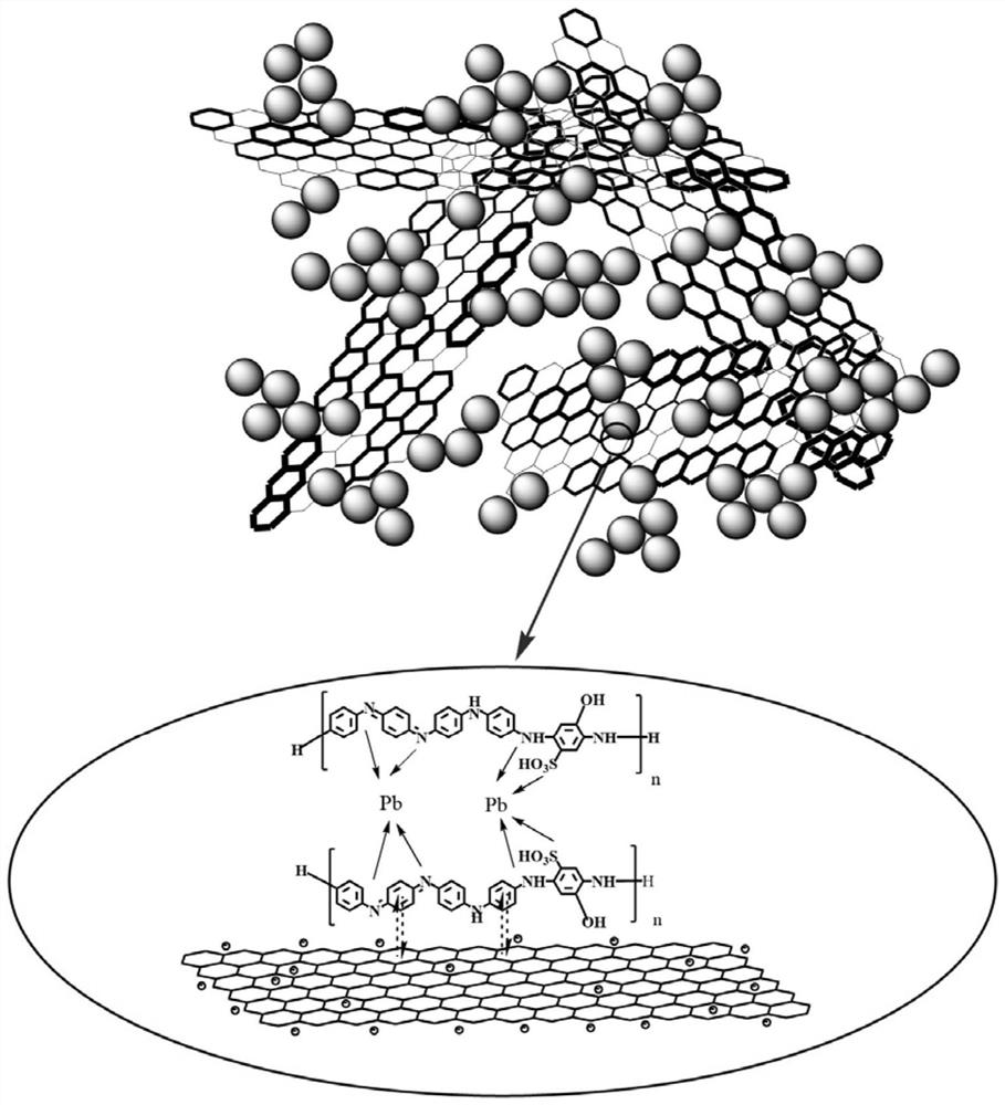 A kind of solid ion carrier and its preparation method and application