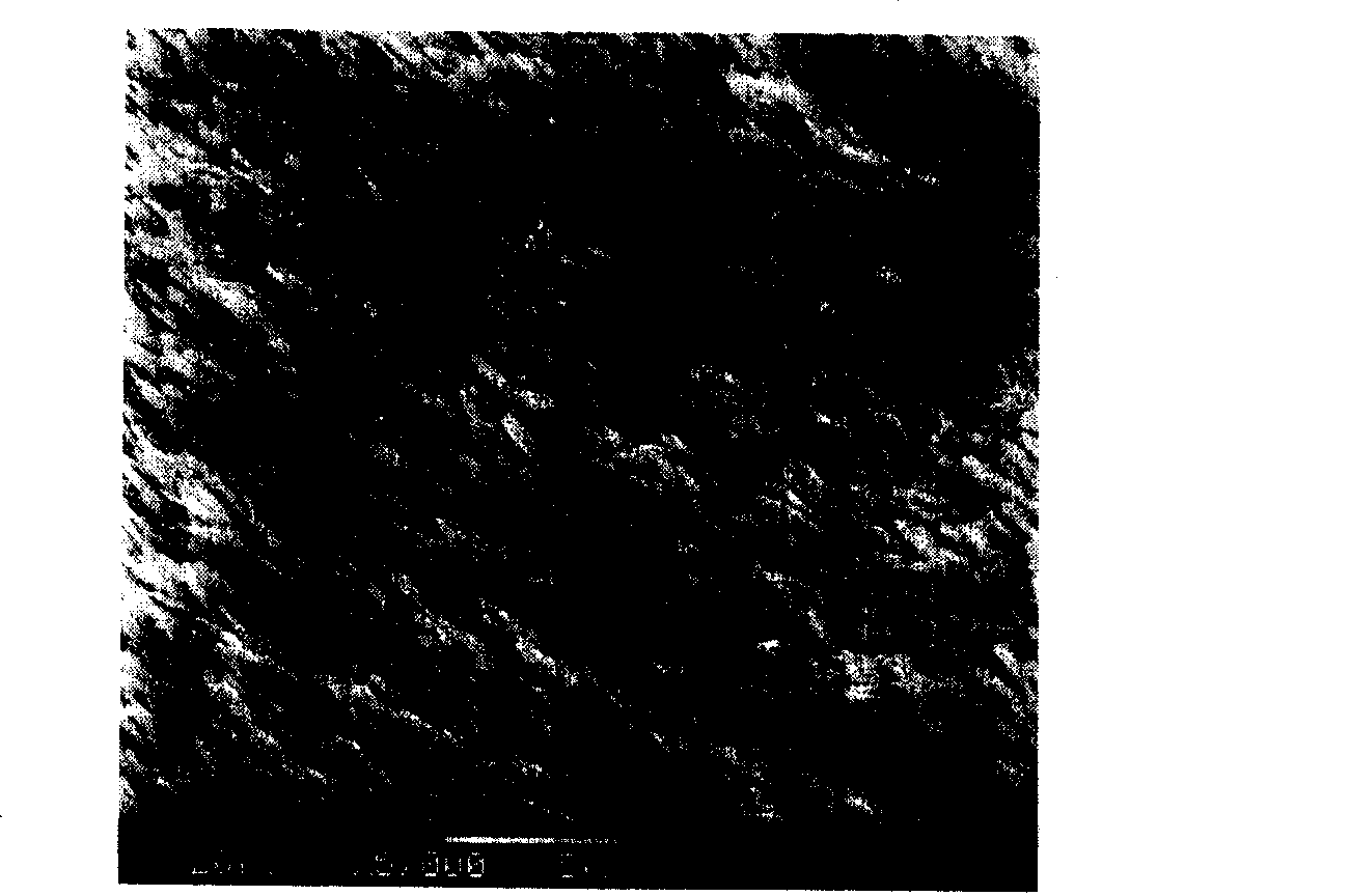 Tungsten oxide material with nano band array structure and preparing method thereof