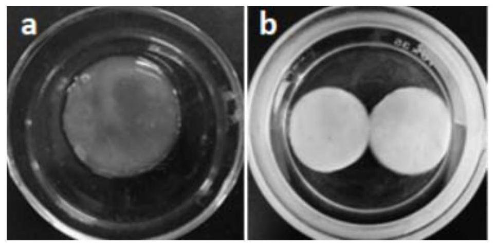 Preparation method of bacterial cellulose/polymerized cyclodextrin composite material