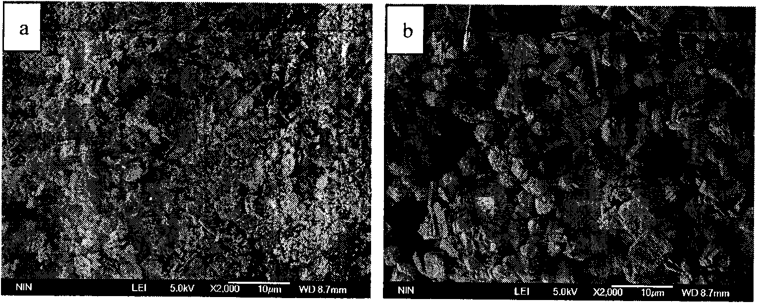 Method for preparing bismuth ferrite powder by microwave hydrothermal method