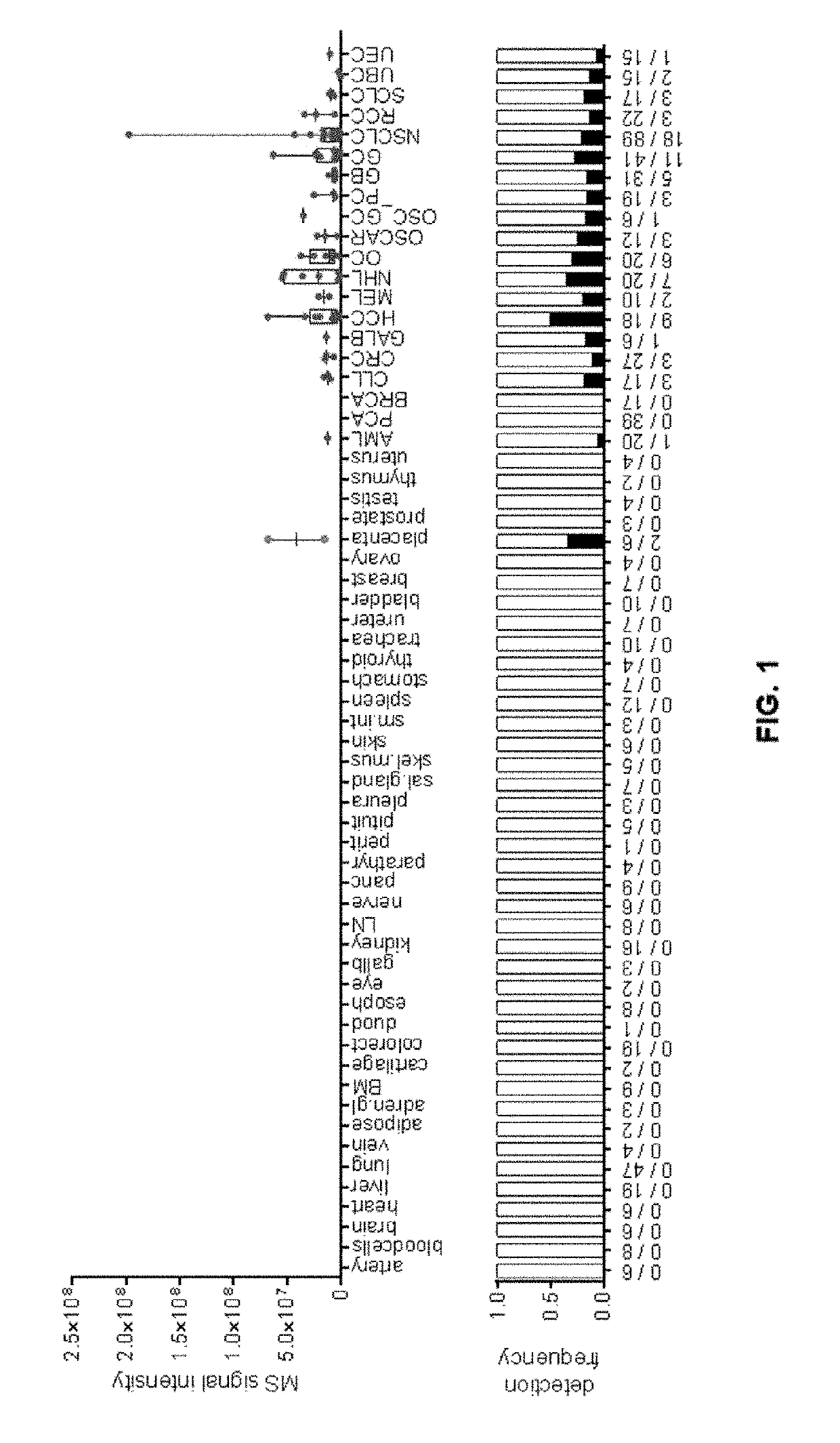 Peptides and combination of peptides for use in immunotherapy against cancers