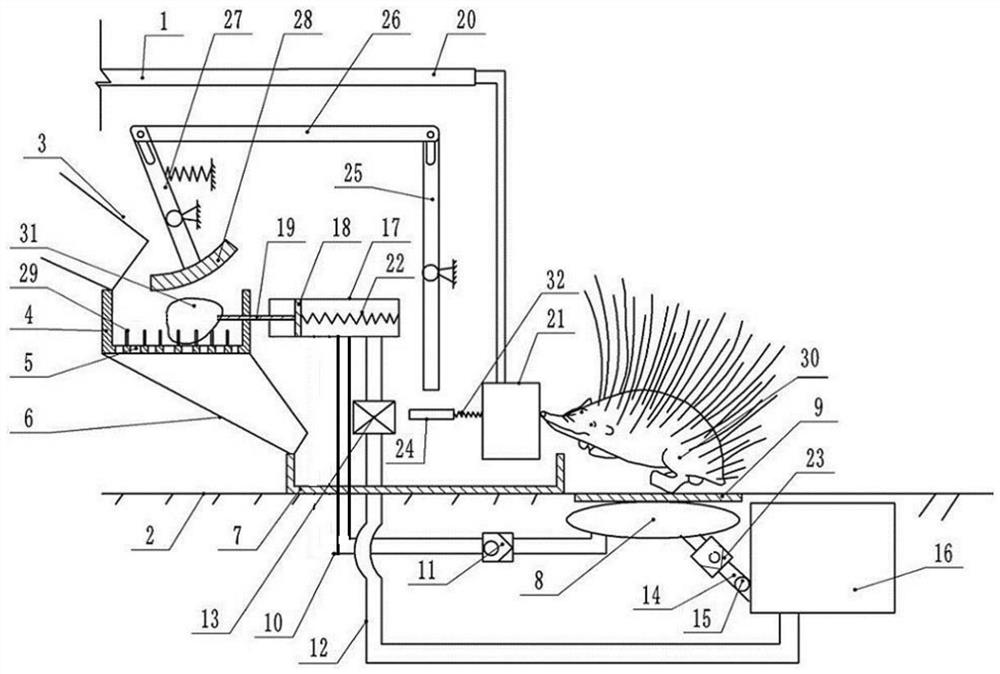 Porcupine automatic feeding device