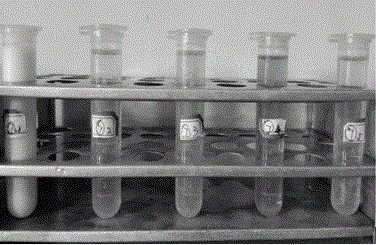 Method for preparing stable nano anatase titanium dioxide alcohol phase sol at low temperature