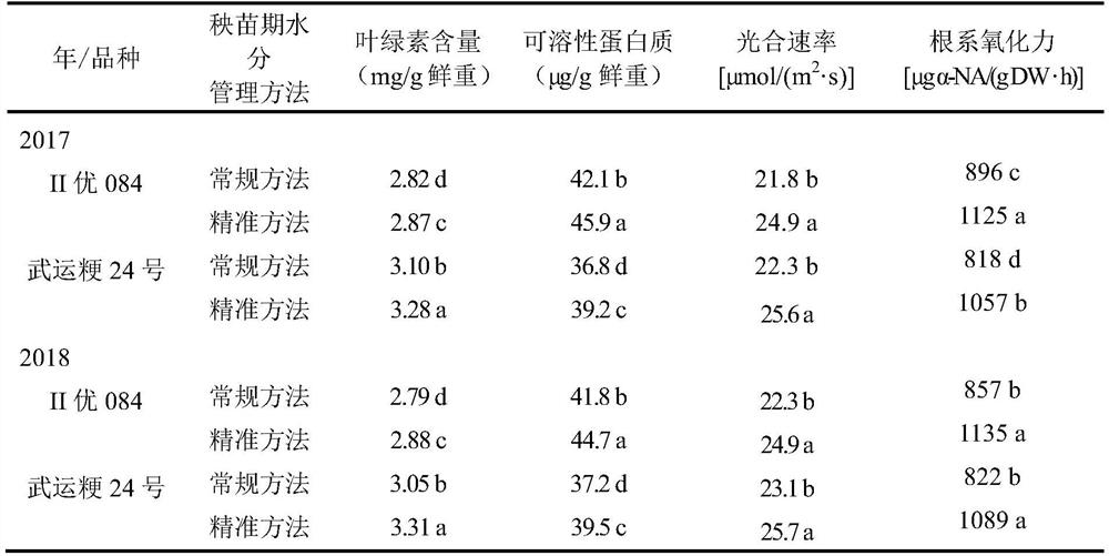 A method for precise water management of machine-transplanted rice seedlings