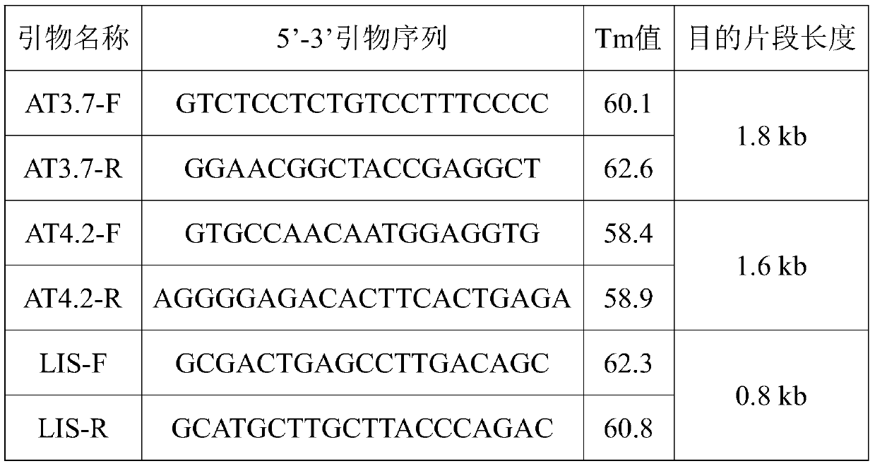 Primer set and kit for detecting alpha globin gene triplet, and application of primer set and kit