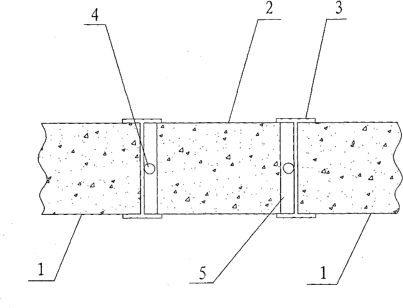 Diaphragm wall joint and manufacturing method of diaphragm wall