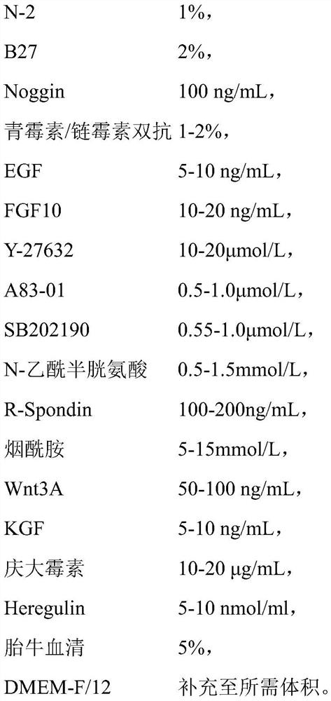 A special culture medium and culture method for scaffold-free organoids of breast cancer