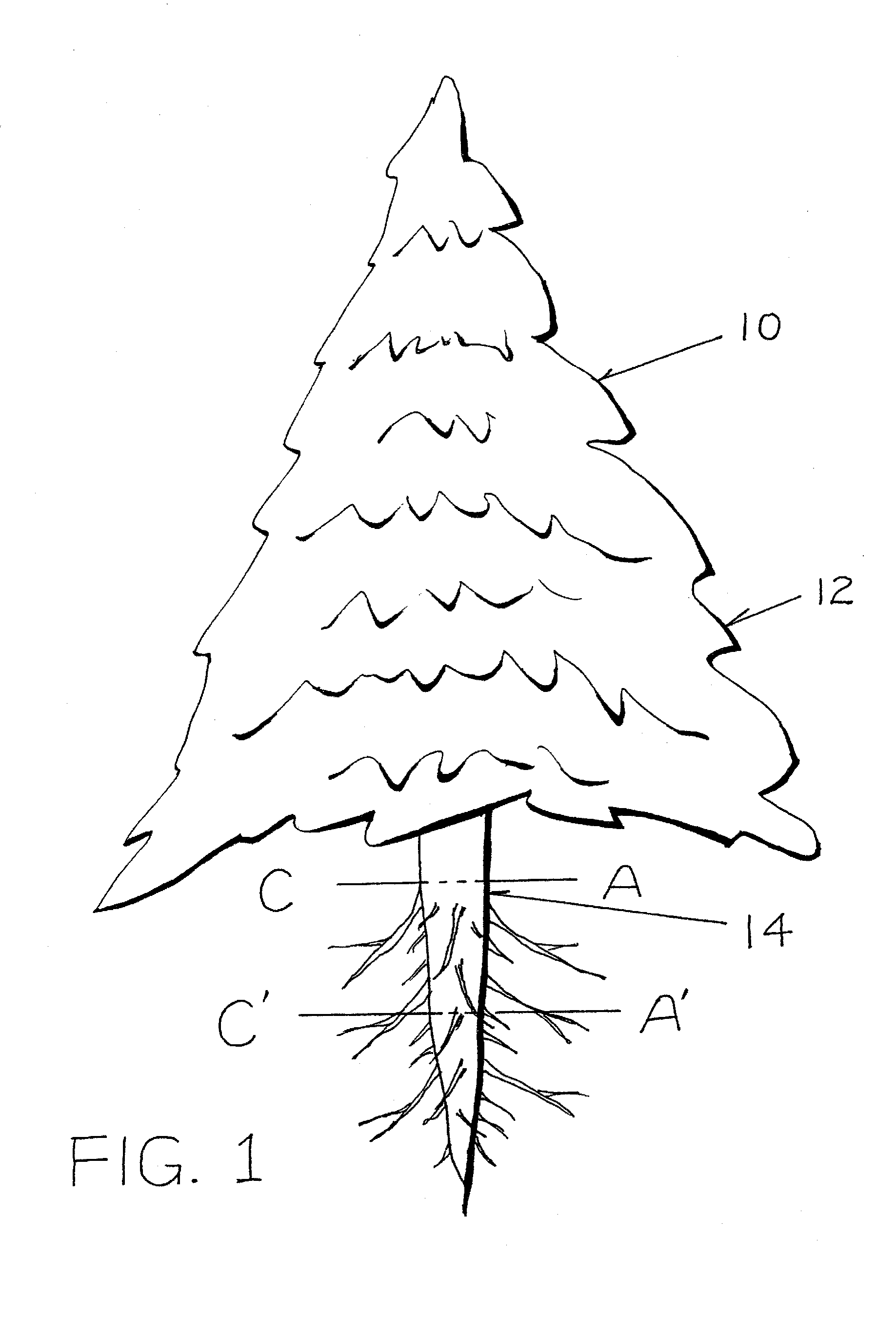 Method of Preserving a Live Tree