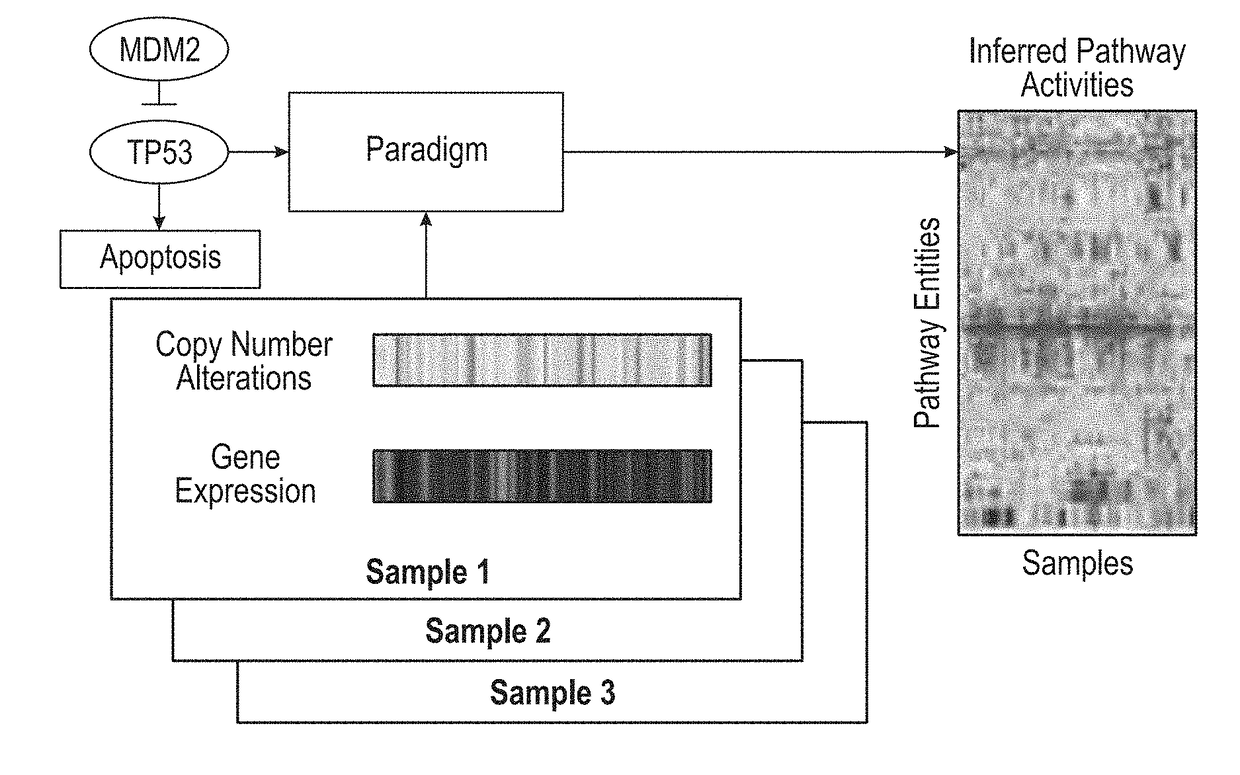 Pathway recognition algorithm using data integration on genomic models (paradigm)