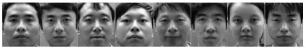 One-shot Face Recognition Method Based on Sparse Representation of Hybrid Extended Block Dictionary