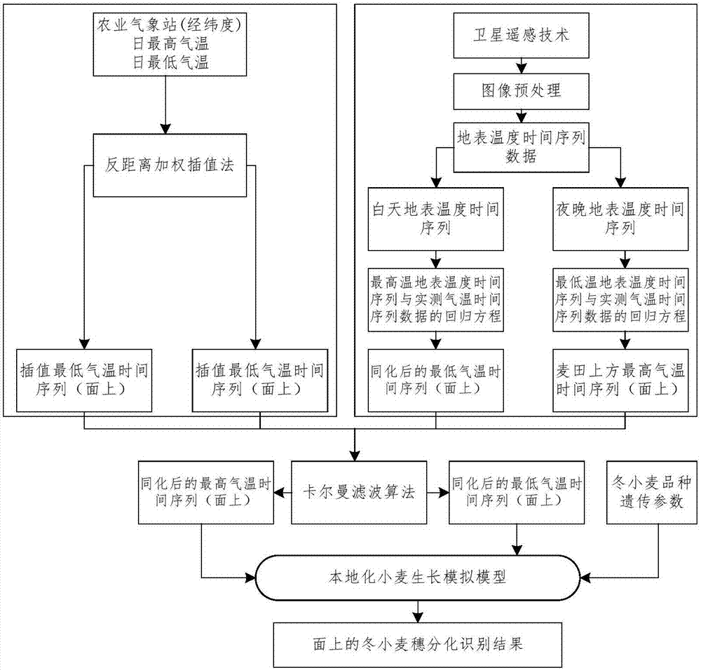 Identification method and device for winter wheatear differentiation phase