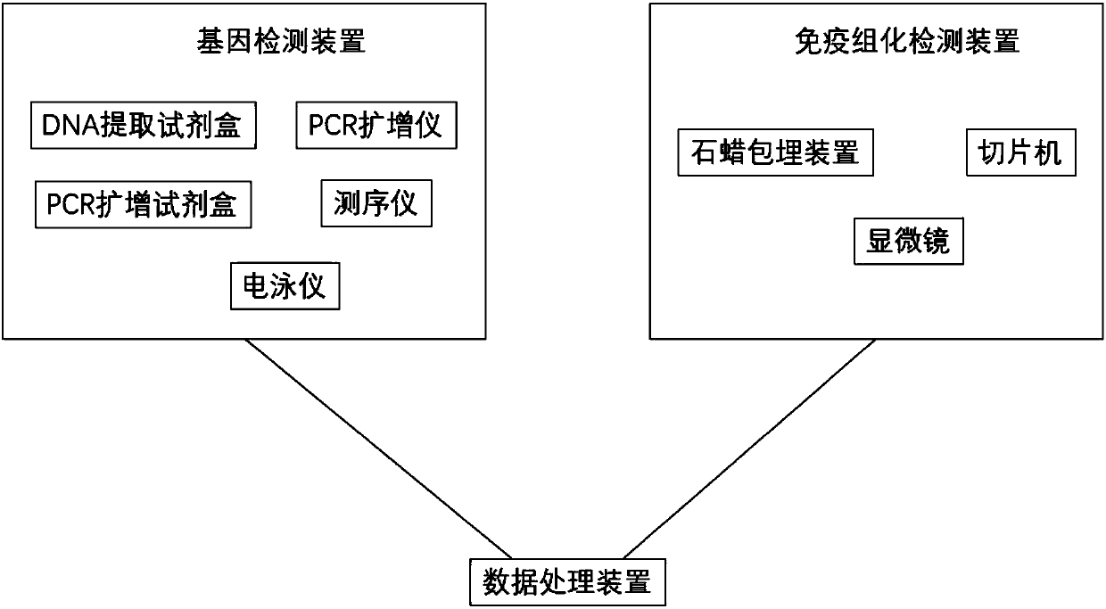 System for predicting chemotherapy sensitivity of patient with bladder cancer