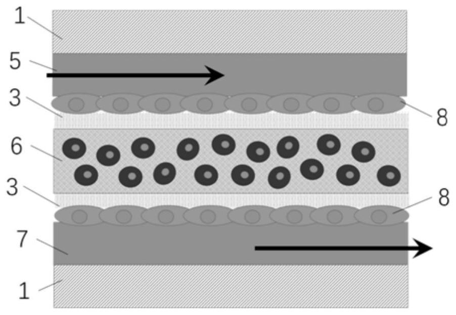 An organ-on-a-chip unit with a pipeline network